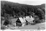 8n25sw1_1954_Gasthaus zur Schwingerei_v.jpg